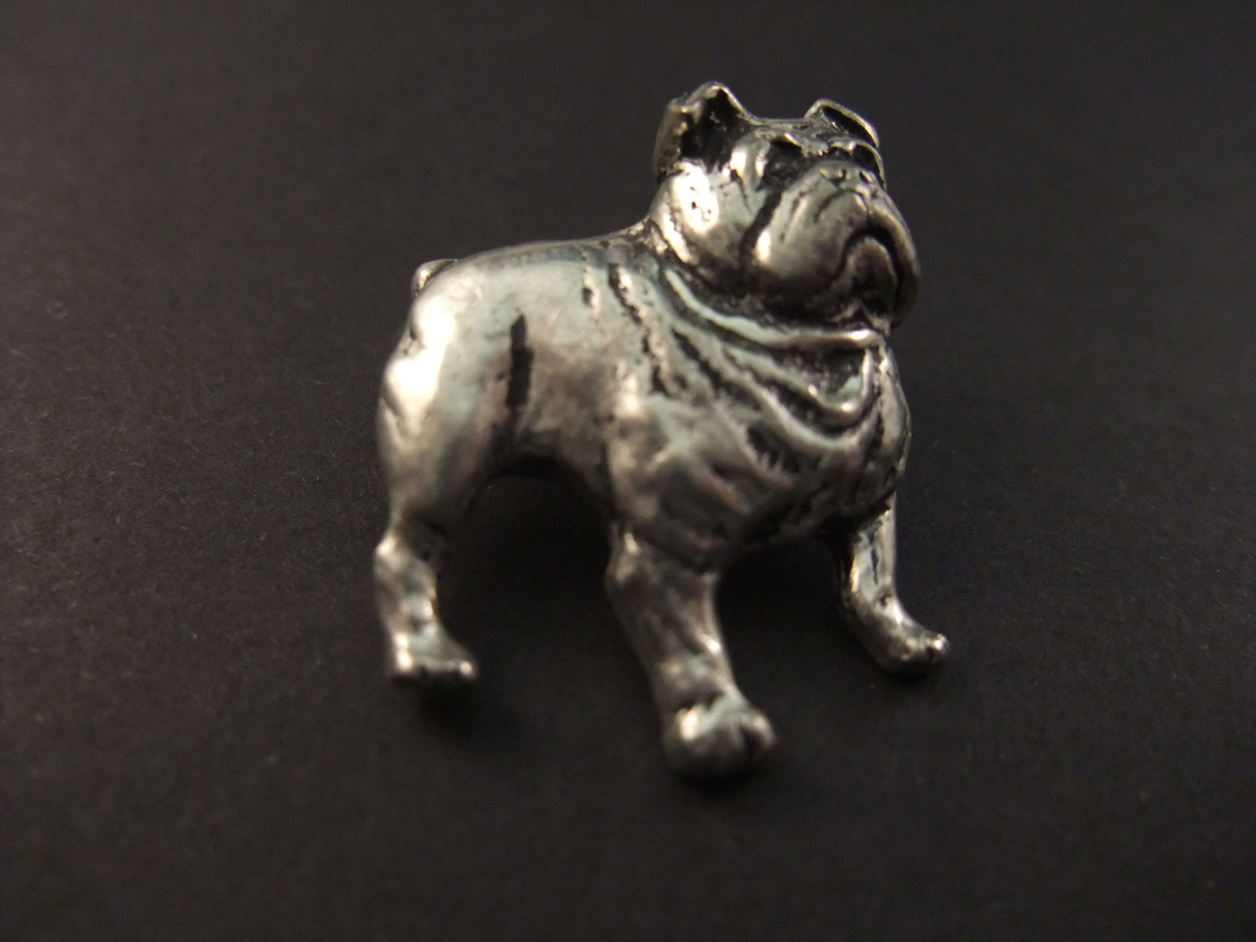 Engelse bulldog, zachtaardige gezelschapshond, zilverkleurig